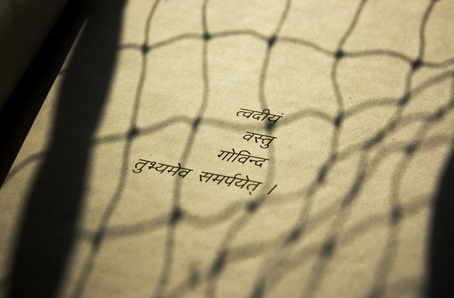 Indian Languages image
